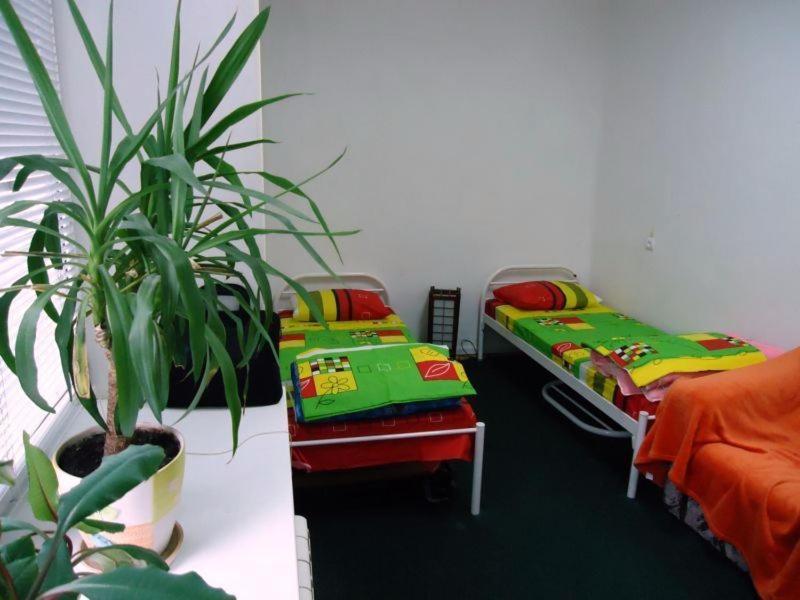 Hostel Kreshatik Κίεβο Δωμάτιο φωτογραφία